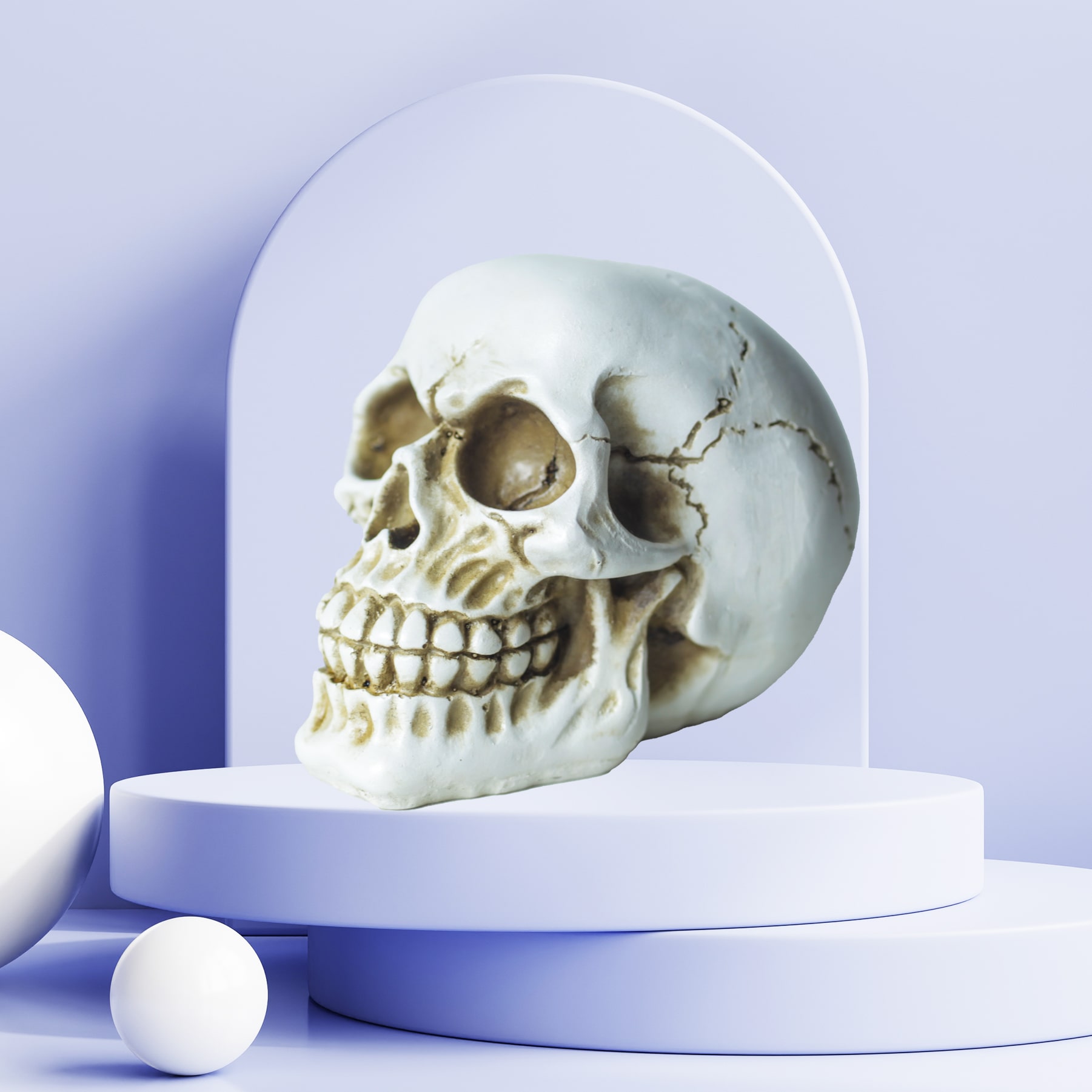 Inspire Skull Beyaz Biblo Dekoratif Aksesuar
