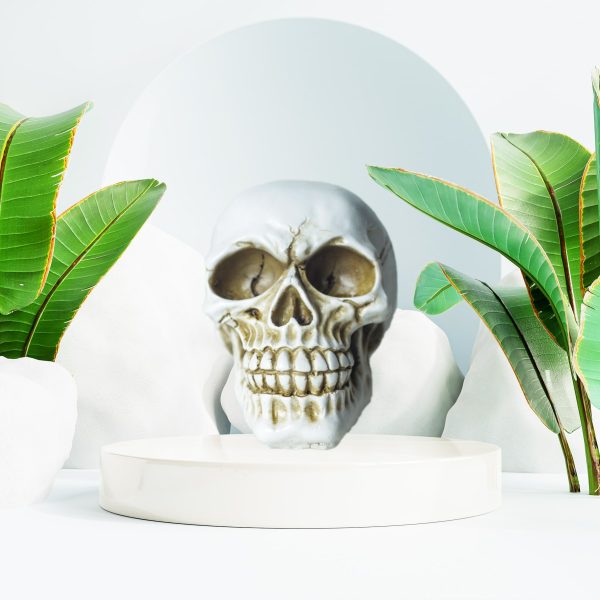 Inspire Skull Beyaz Biblo Dekoratif Aksesuar