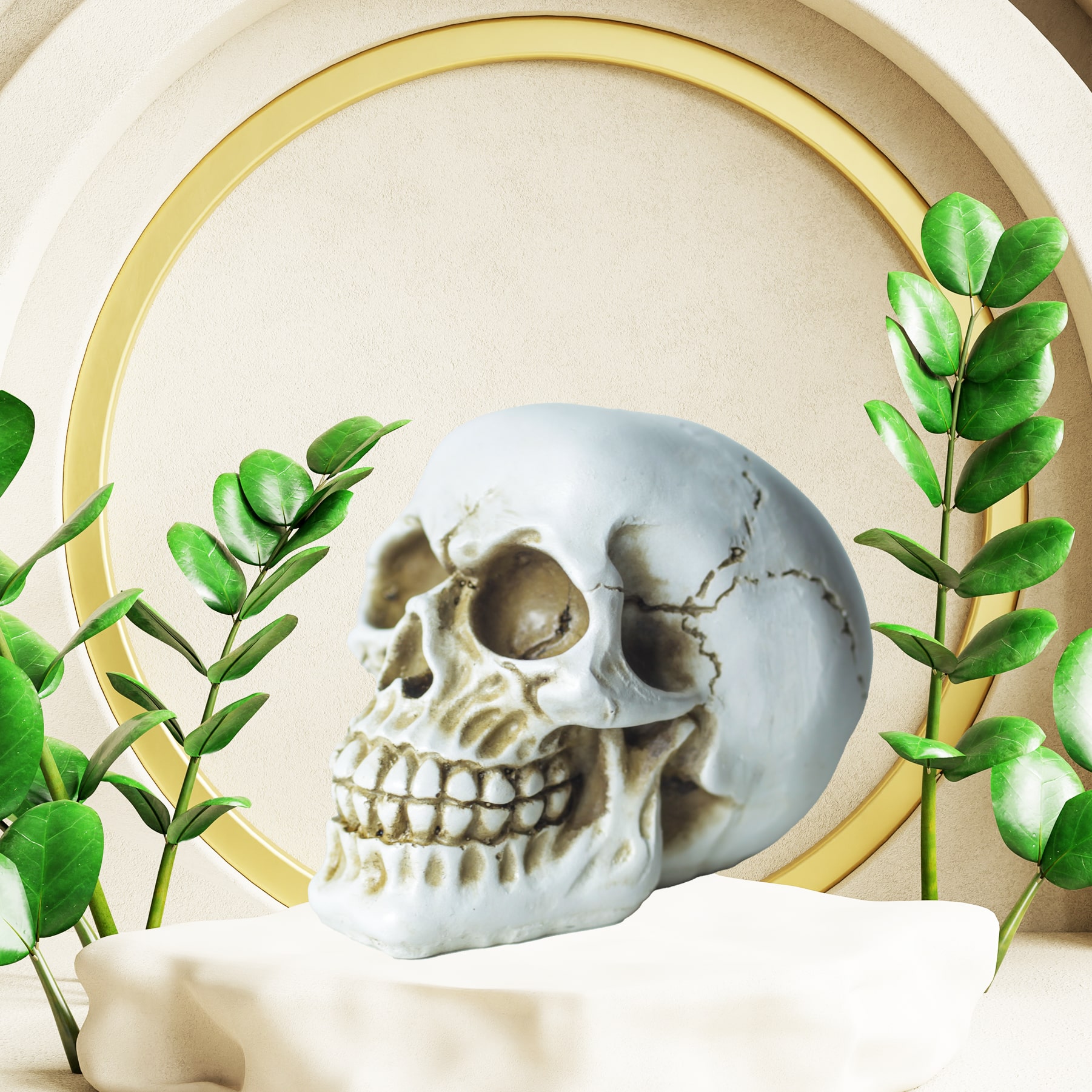 Inspire Skull Beyaz Biblo Dekoratif Aksesuar