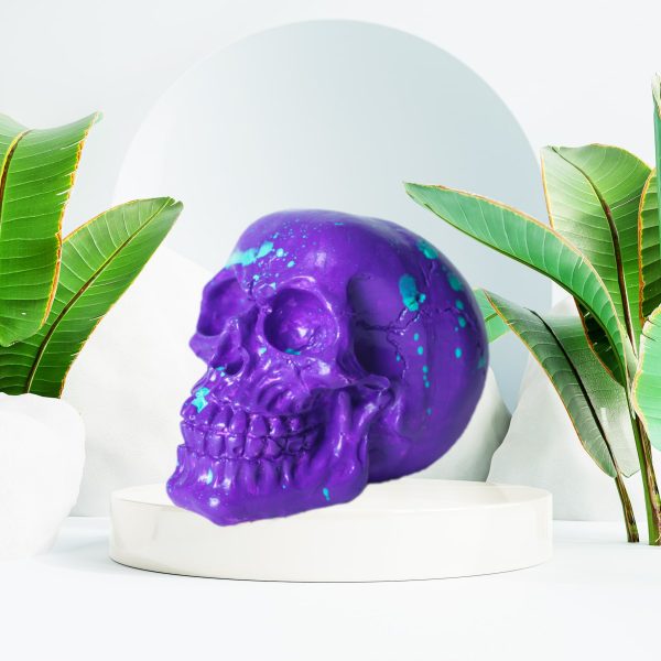 Inspire Skull Mor Biblo Dekoratif Aksesuar